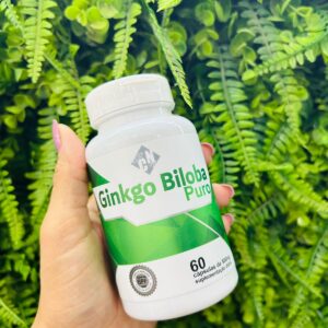 Ginkgo Biloba Puro - 60 caps 500mg