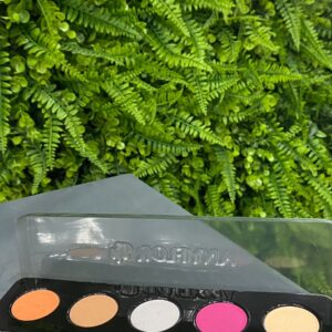 Paleta De Sombras Back 70,S 5 Cores