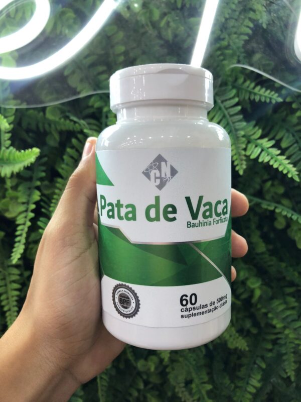 Caps Pata De Vaca 500mg CN