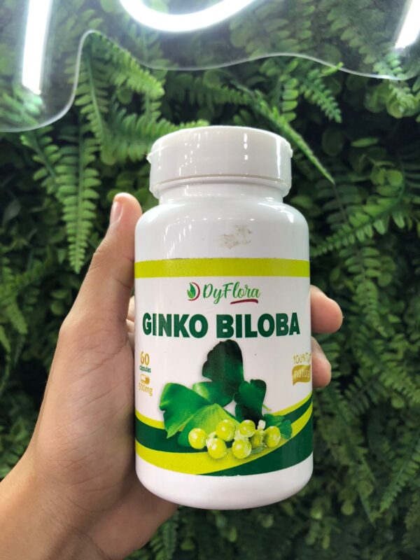 Ginko Biloba 60cps