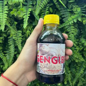 Xarope De Gengibre 200ml