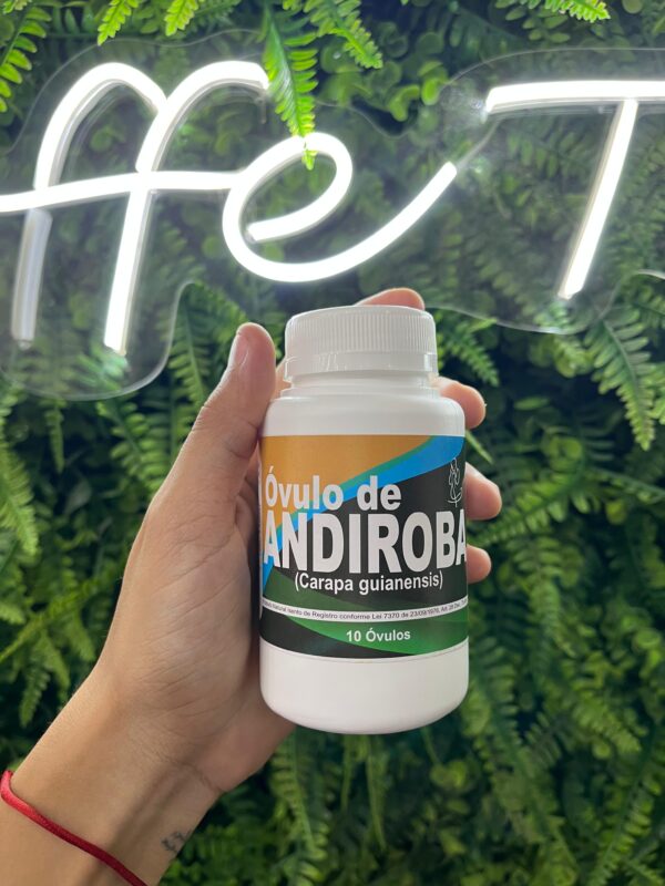 ÓVULO DE ANDIROBA