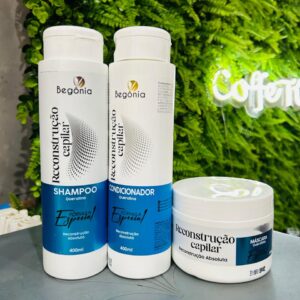 Kit 3 Itens Cronograma Reconstrução Capilar - Begônia