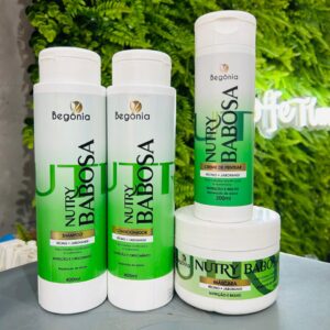 Kit 4 Itens Nutry Babosa - Begônia