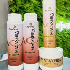 Kit 4 Itens Macaxeira - Begônia