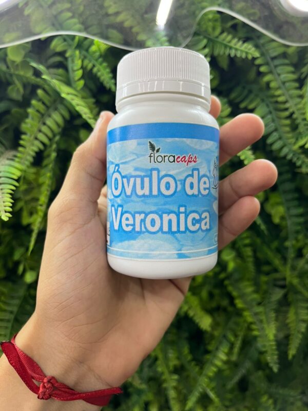 Óvulo De Verônica